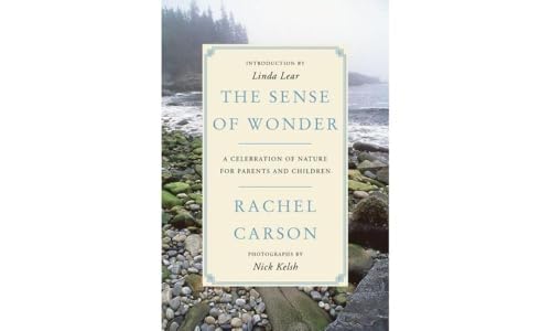 Sense of Wonder: A Celebration of Nature for Parents and Children