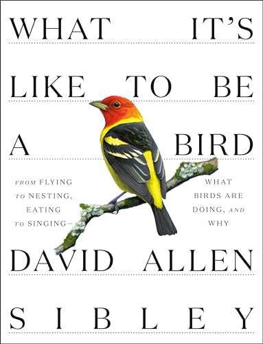 What It's Like to Be a Bird: From Flying to Nesting, Eating to Singing--What Birds Are Doing, and Why