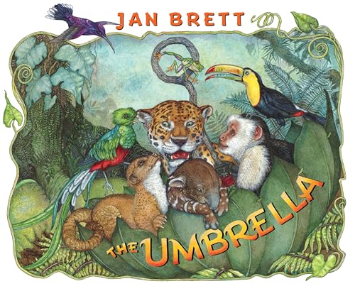 Umbrella