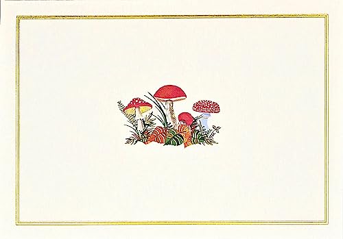 Mushrooms Note Cards (14 Cards, 15 Self-Sealing Envelopes)