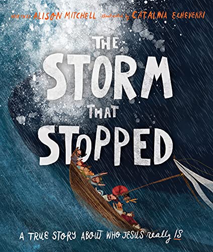 Storm That Stopped Storybook: A True Story about Who Jesus Really Is