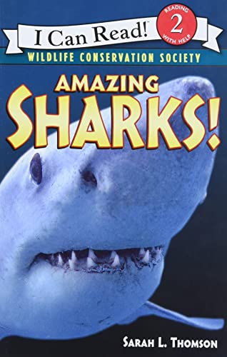 Amazing Sharks!