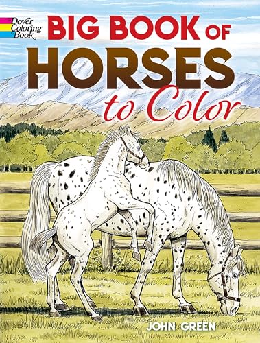 Big Book of Horses to Color