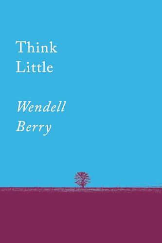 Think Little: Essays